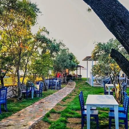 Hotel Zeytin Dali Butik Otel & Beach