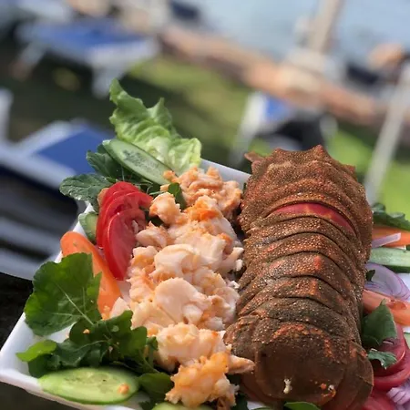 Hotel Zeytin Dali Butik Otel & Beach *